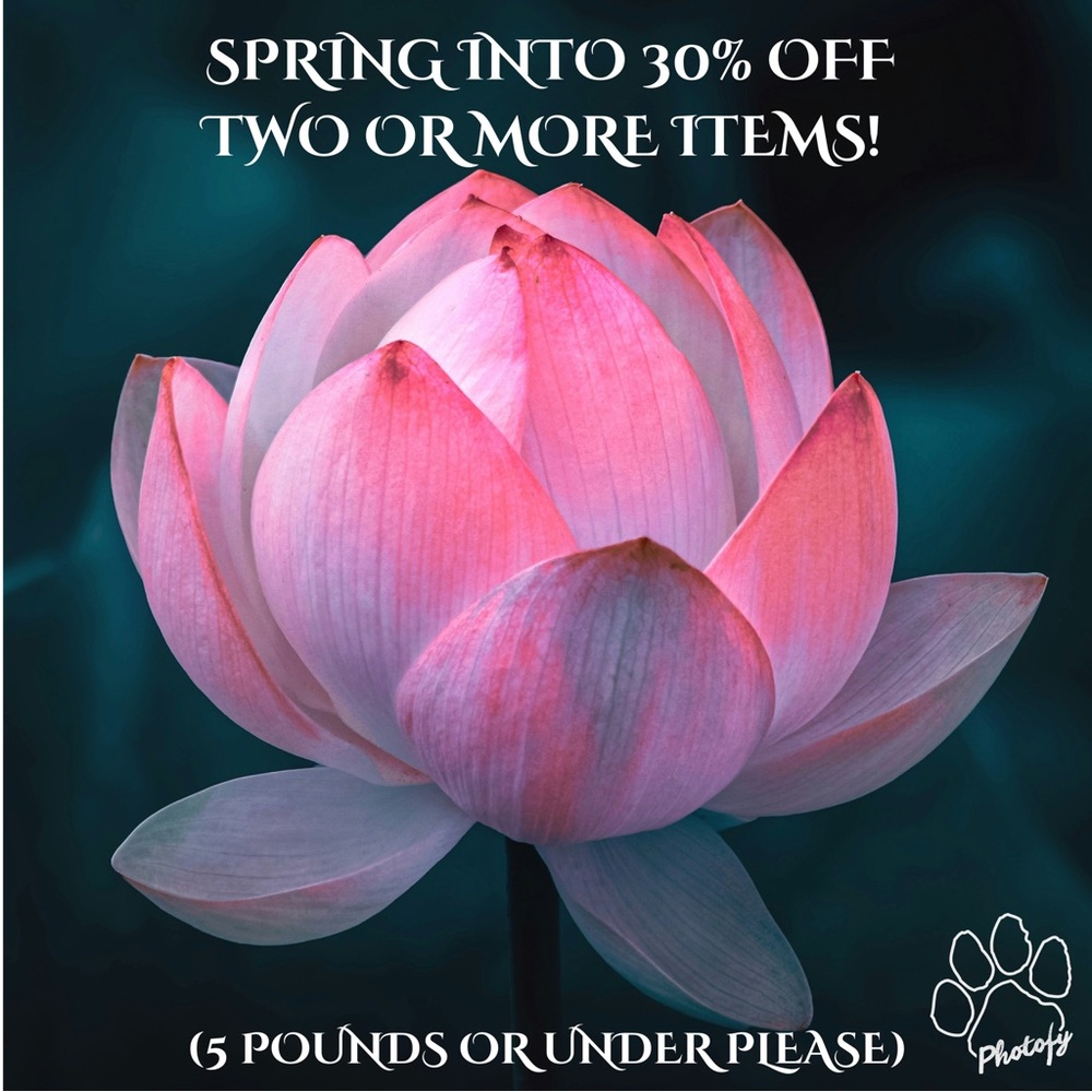 SPRING SALE